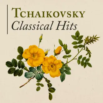 The Nutcracker, Op. 71a: XVc. Pas de deux - Variation II: Dance of the Sugar-Plum Fairy by Bonn Classical Philharmonic & Heribert Beissel song reviws