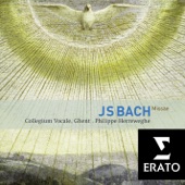 Bach: Masses, BWV 233-235 & Sanctus, BWV 238 artwork