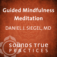 Daniel J. Siegel, MD - Guided Mindfulness Meditation artwork