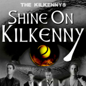 Shine On Kilkenny - The Kilkennys