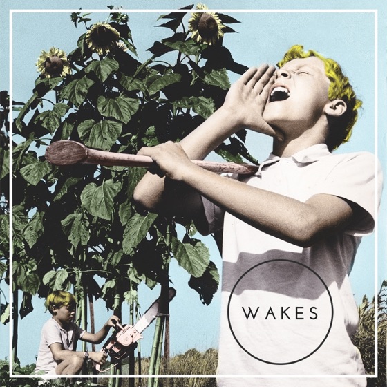 Cover artwork for Widows