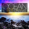 Ocean Lounge Grooves, 2013