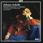 Schelle: Sacred Concertos & Cantatas artwork