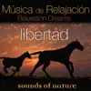 Música de Relajación, Relaxation Dreams: Libertad album lyrics, reviews, download