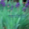 Marko Ylonen, Helsinki Philharmonic Orchestra & Max Pommer - Cello Sonata in G Minor, Op. 19: III. Andante