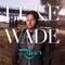 Doctor Please - Luke Wade lyrics