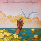 Promised Heights artwork