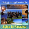 Salsa in Paradise