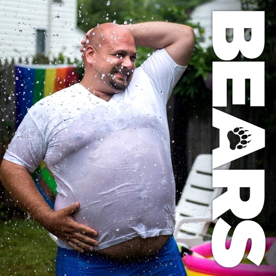 Cover artwork for Bears