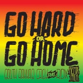 Go Hard (feat. RDX) [Acapella] artwork
