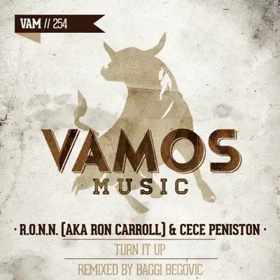 Turn It Up (Baggi Begovic Remix) - Single - Cece Peniston