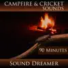 Campfire and Cricket Sounds - 90 Minutes album lyrics, reviews, download