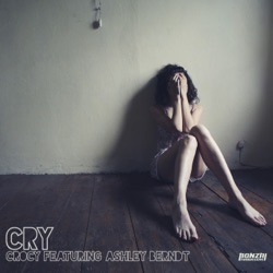 Crocy - Cry (feat. Ashley Berndt)