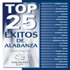Top 25 Éxitos de Alabanza, 2010