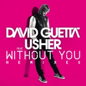 Without You (Armin Van Buuren Remix) [feat. Usher] artwork