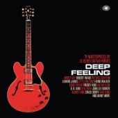 Deep Feeling: 75 Masterpieces by 31 Blues Guitar Heroes artwork