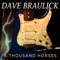 A Thousand Horses - DAVE BRAULICK lyrics