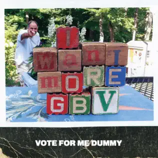 ladda ner album Guided By Voices - Vote For Me Dummy