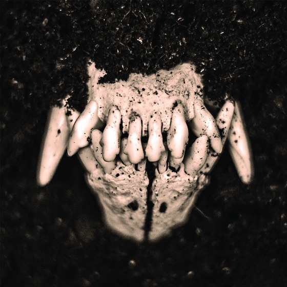 Cover artwork for Hibernate