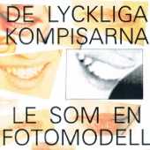 Le Som En Fotomodell artwork