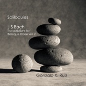Suite in G minor after BWV 1013 - Sarabande (JS Bach) artwork