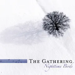 Nighttime Birds by The Gathering album reviews, ratings, credits