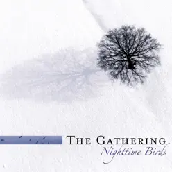 Nighttime Birds - The Gathering