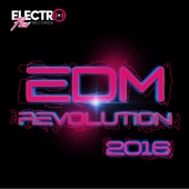 EDM Revolution 2016 artwork