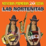 Las Norteñitas - Perdón y Olvido