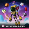 Allouche - Tell Me What You See