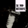 The Waterboys