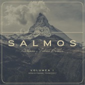 Salmos, Vol. I artwork