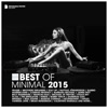 Best of Minimal 2015