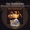 The Dubliners - The Wild Rover (Live)