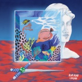Cardan cover