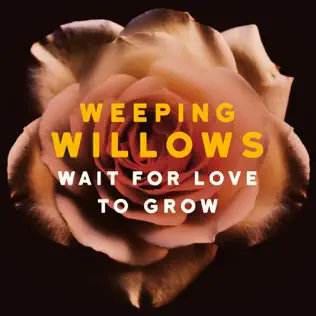 télécharger l'album Weeping Willows - Wait For Love To Grow