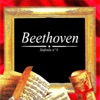 Hongaars Philharmonisch Orkest - Symphony No. 9 in D Minor, Op. 125 "Choral": III. Adagio molto e cantabile