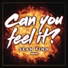 Sean Finn - Can You Feel It