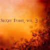Secret Point, Vol. 3 (Chill Dream)