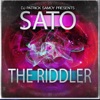 The Riddler (feat. DJ Patrick Samoy) [90's Hardstyle Classics] - Single