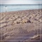 Andas En mi Cabeza - J. Cordova lyrics