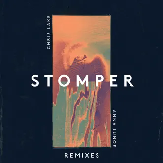 Stomper (Dr. Fresch Remix) by Chris Lake & Anna Lunoe song reviws