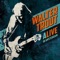 Almost Gone - Walter Trout lyrics