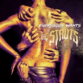 Everybody Wants cover