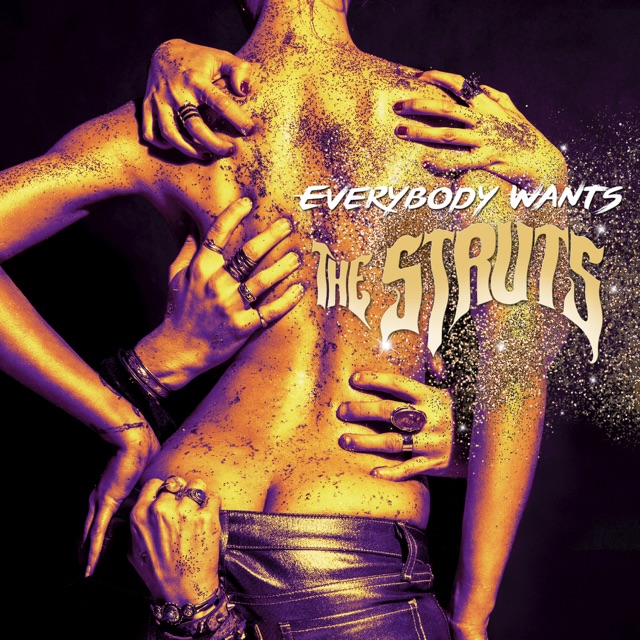 The Struts Everybody Wants Album Cover