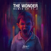 The Wonder (Vip Mix) artwork