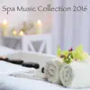 Spa Music Collection 2016 – Day Spa, Best New Spa Sounds for Relaxing Spa Day at Home album lyrics, reviews, download