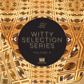 Witty Selection Series, Vol. 6 by Various Artists album reviews, ratings, credits