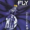 Fly (Radio Version) artwork
