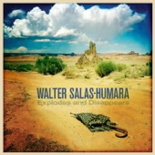 Walter Salas-Humara - I Will Remember You